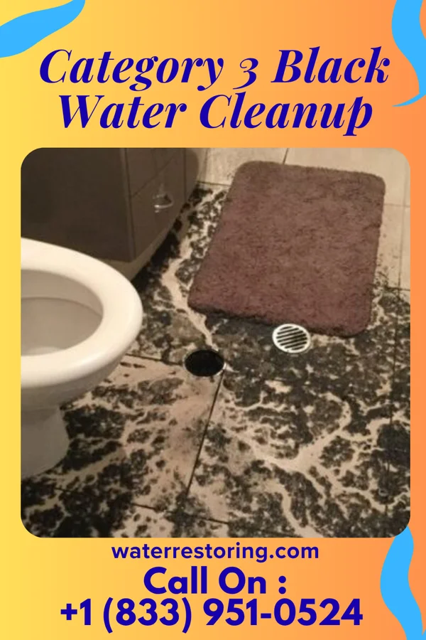 Category 3 Black Water Cleanup in Troy, IL
