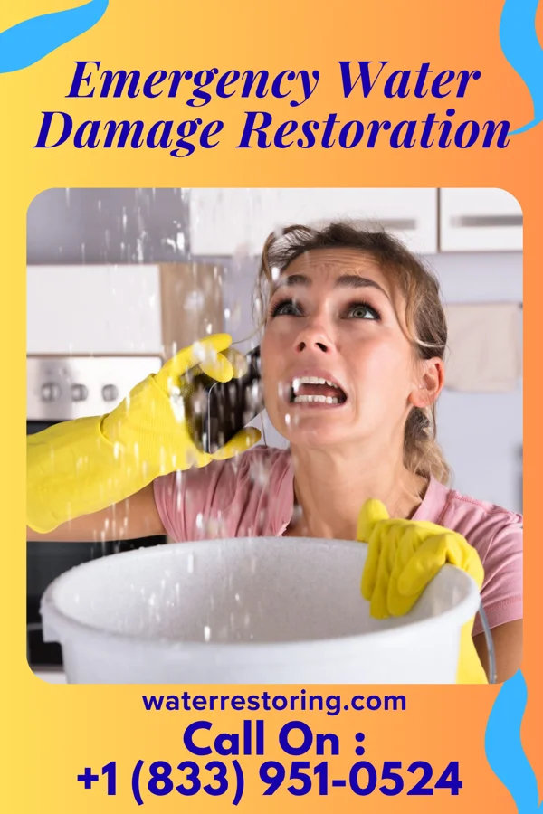 Emergency Water Damage Restoration in Troy, IL